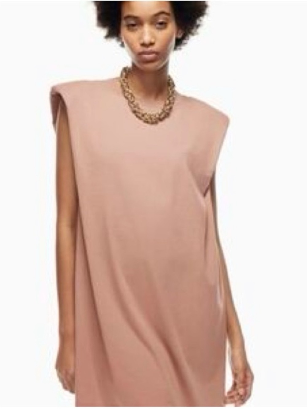 Babaton Sleeveless Shift Dress in Dusty Blush